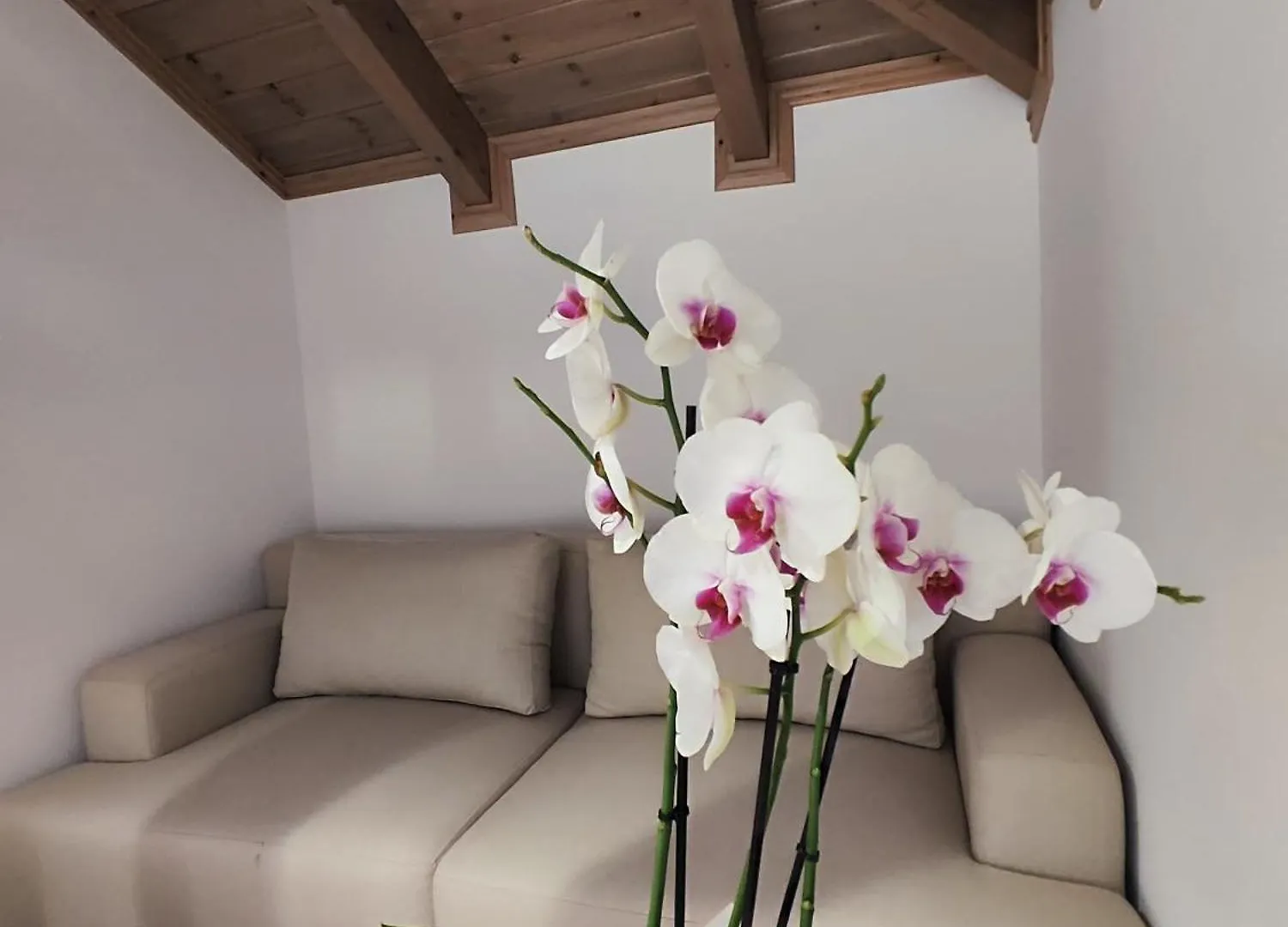 Hotel Palorto Inn Gjirokastër